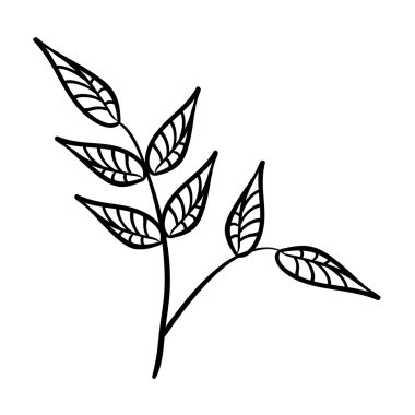 bitki dekorasyon izole simgesi yapraklar