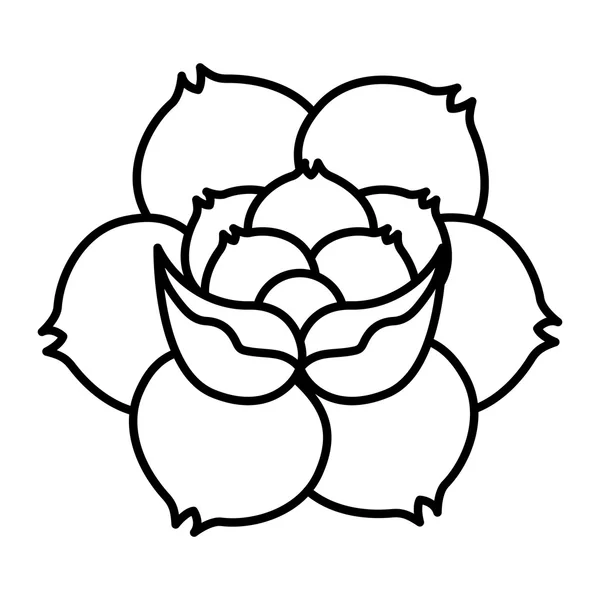 Flower drawing tattoo style isolated icon — Stock Vector