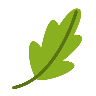 kişniş sebze madde sağlık simgesi