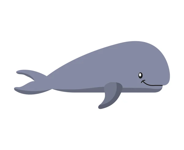 Pez ballena icono aislado — Vector de stock