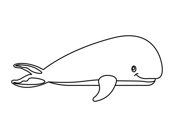 Pesce balena icona isolata — Vettoriale Stock