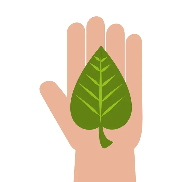 손 잎 생태 — 스톡 벡터