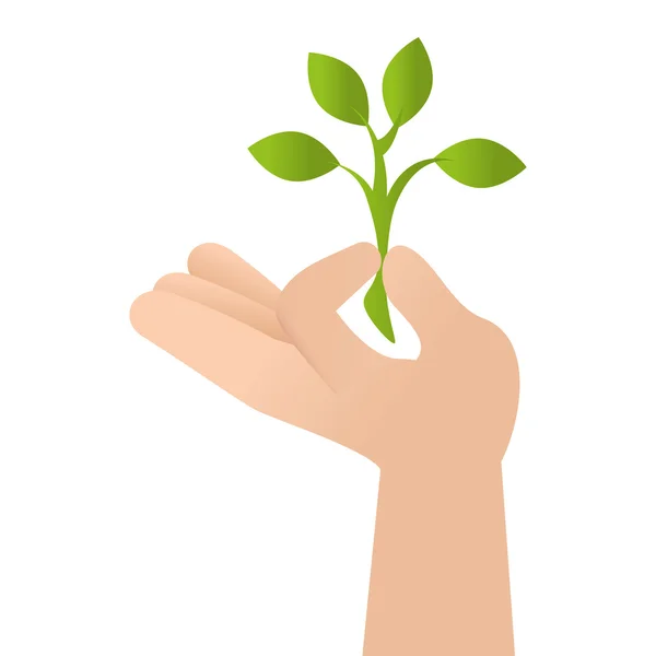 Hojas de plantas de mano — Vector de stock