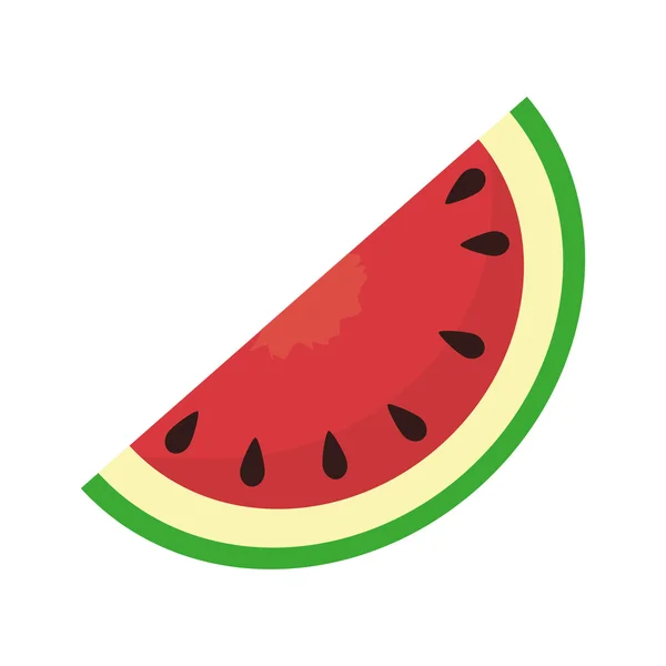 Wassermelonen-Fruchtfutter — Stockvektor