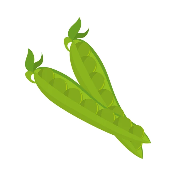 Pea pod plantaardige — Stockvector