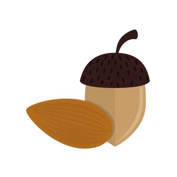 Hazelnut nut food — Stock Vector