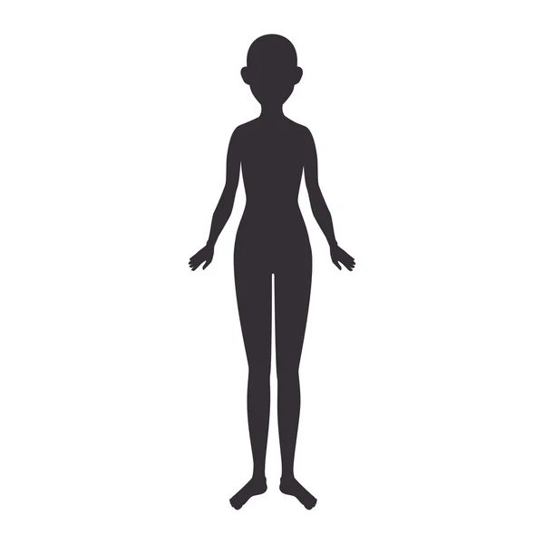 Silueta corporal mujer — Vector de stock