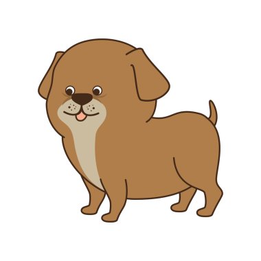 köpek Karikatür hayvan