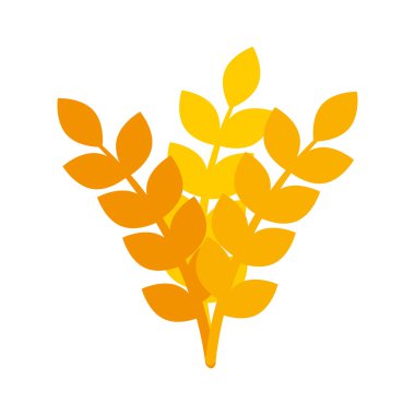 buğday tahıl yiyecek