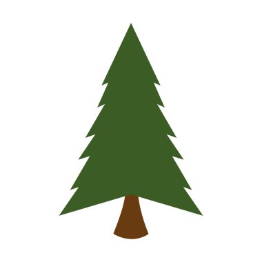 çam uzun ağaç bitki