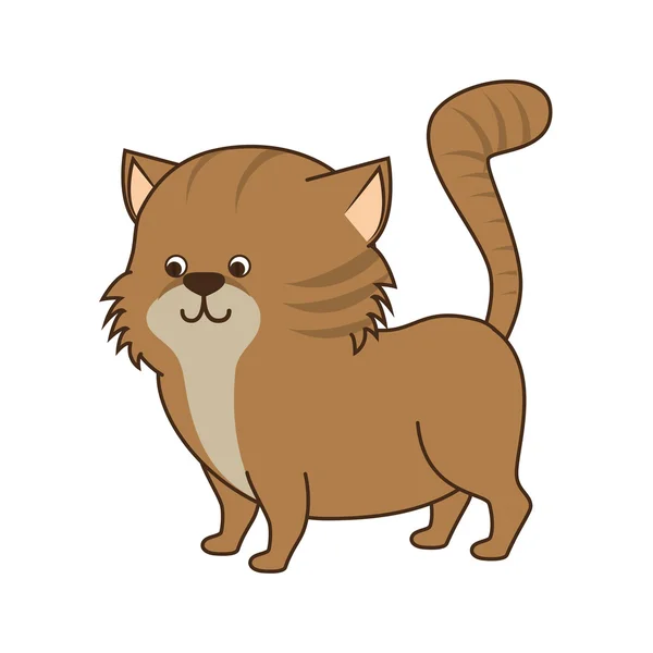 Gato felino mascota — Vector de stock