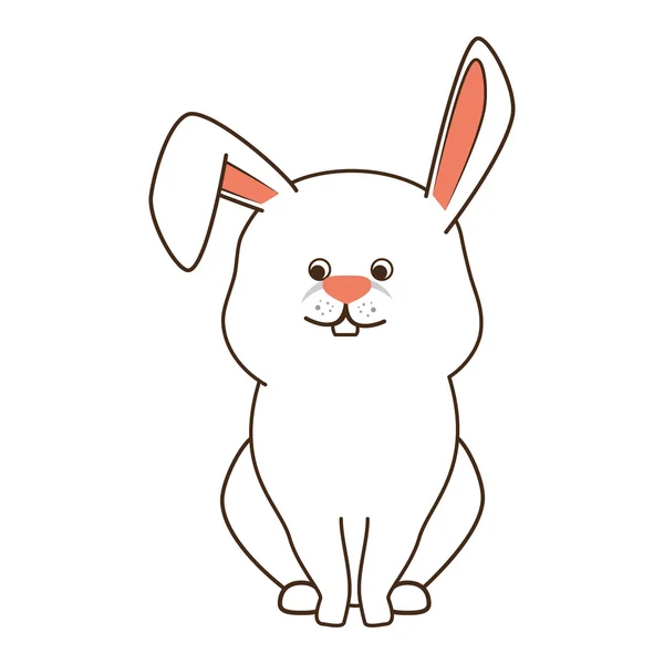 Rabbit bunny pet — Stock Vector