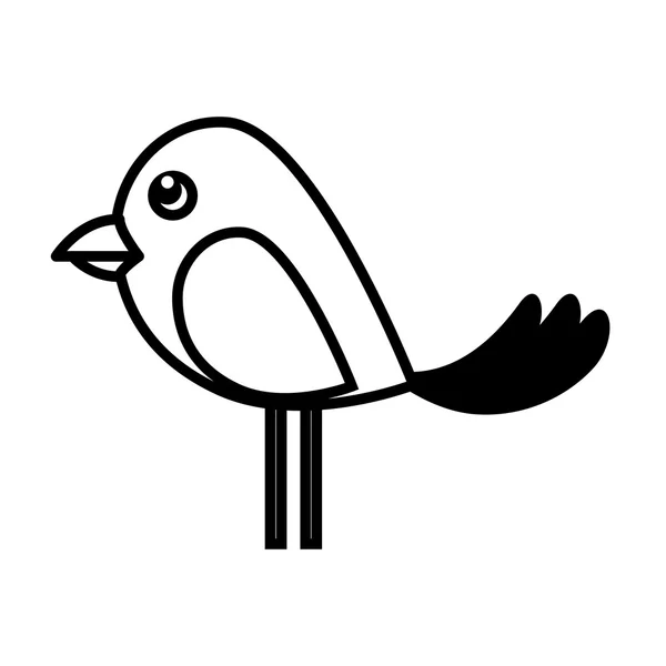 Mascote de animal de estimação pássaro — Vetor de Stock