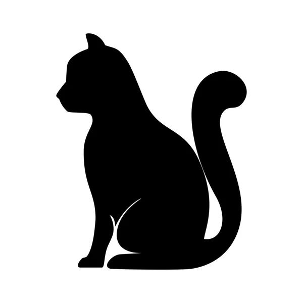 Gato felino mascota — Vector de stock