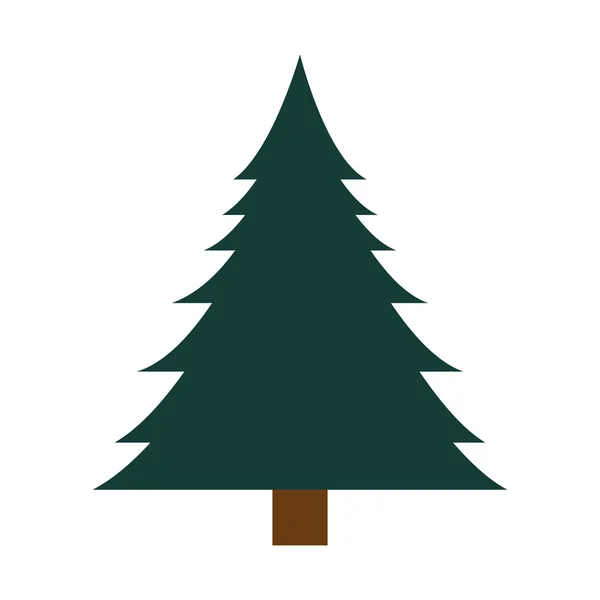 Pine hoge boom plant — Stockvector