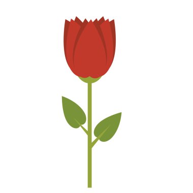 güzel çiçek doğal