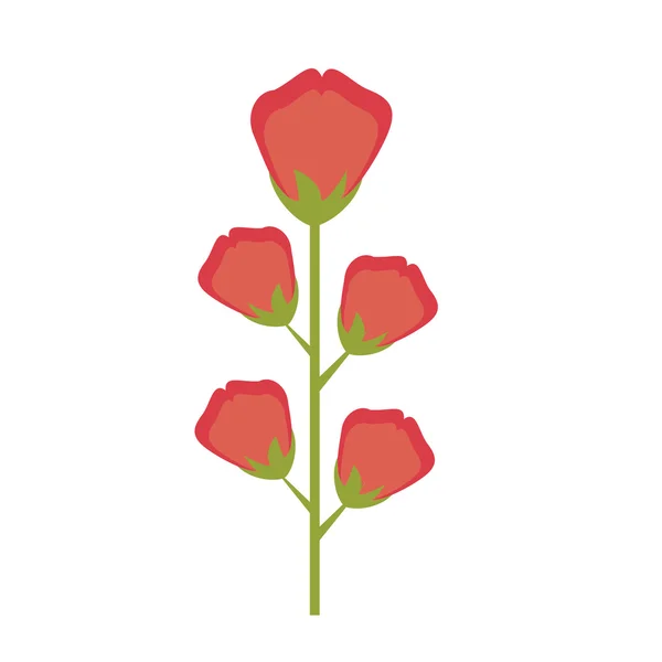 Vacker blomma naturliga — Stock vektor