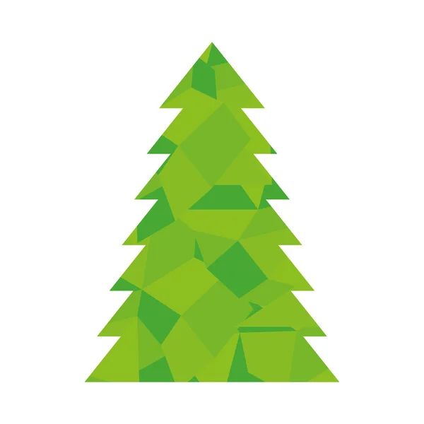 Pine tall tree plant — Stock Vector