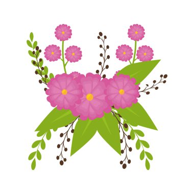 çiçek ve çiçek dekorasyon