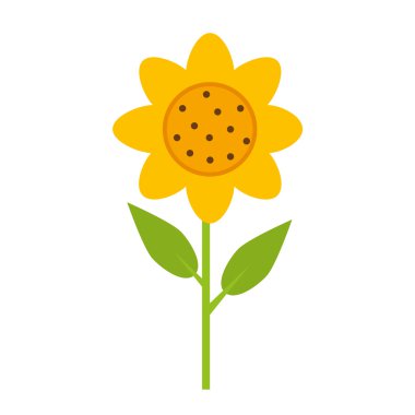 güzel çiçek doğal