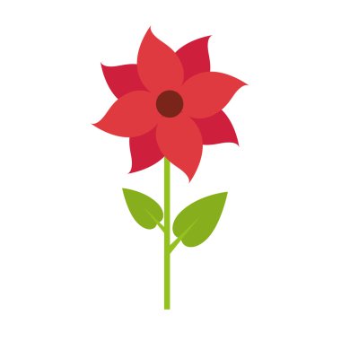 güzel çiçek doğal