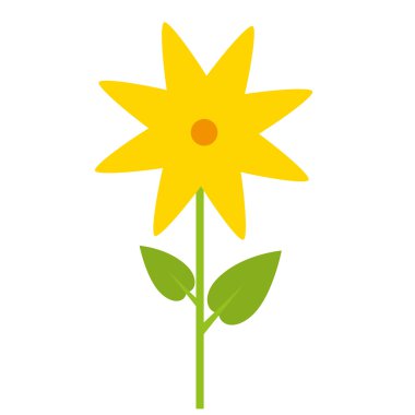 güzel çiçek doğal