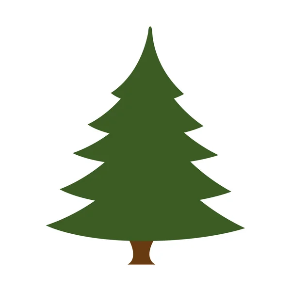 Πεύκο ψηλό δέντρο φυτό — Διανυσματικό Αρχείο