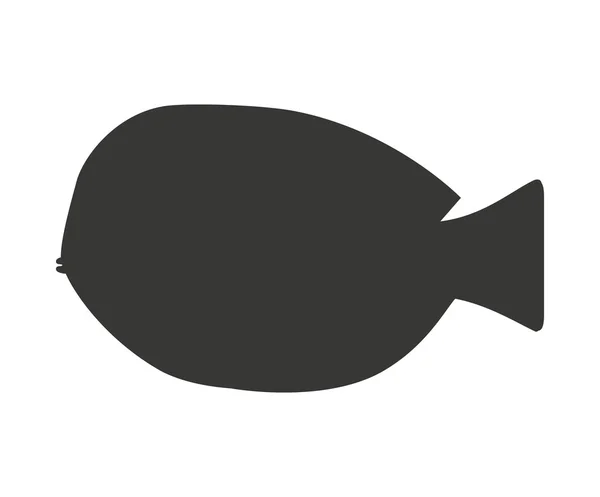 Ornamental fish isolated icon — Stock Vector