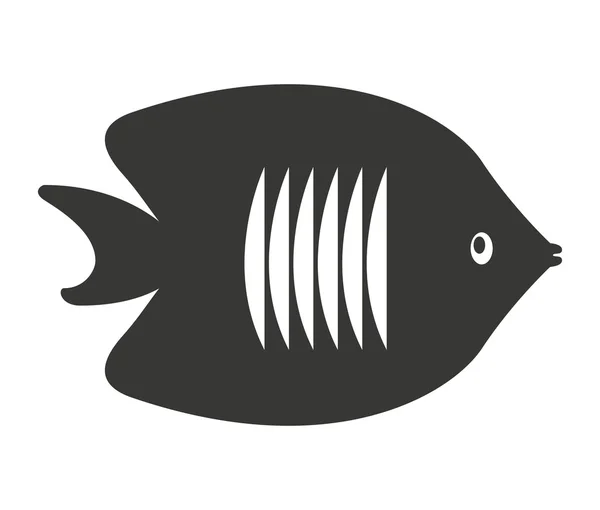 Ornamental fish isolated icon — Stock Vector