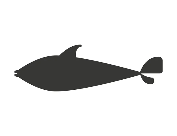Okrasné ryby izolované ikona — Stockový vektor