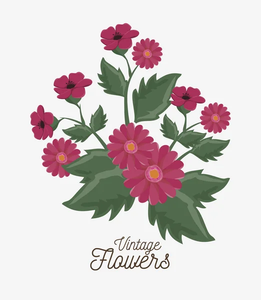 Vintage flowers decoration icon — Stock Vector