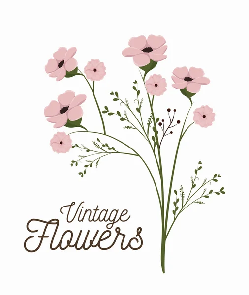 Vintage flowers decoration icon — Stock Vector