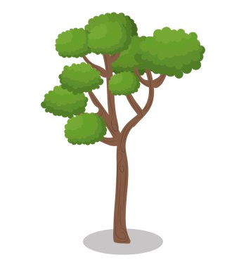 ağaç orman doğa simgesi