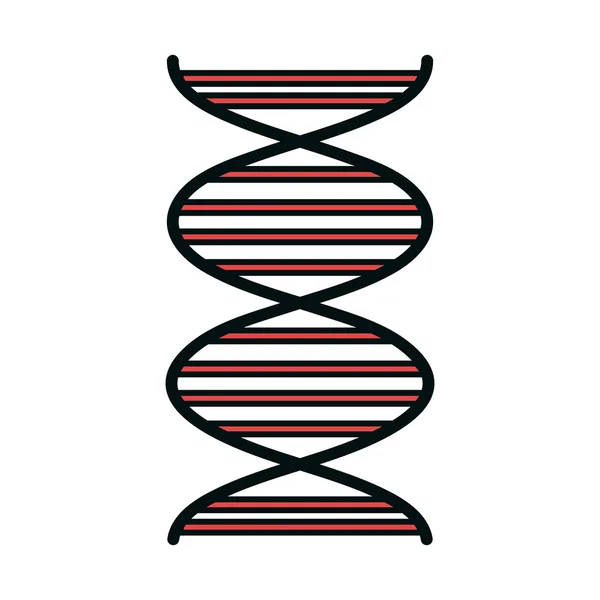 Icona isolata della molecola di DNA — Vettoriale Stock