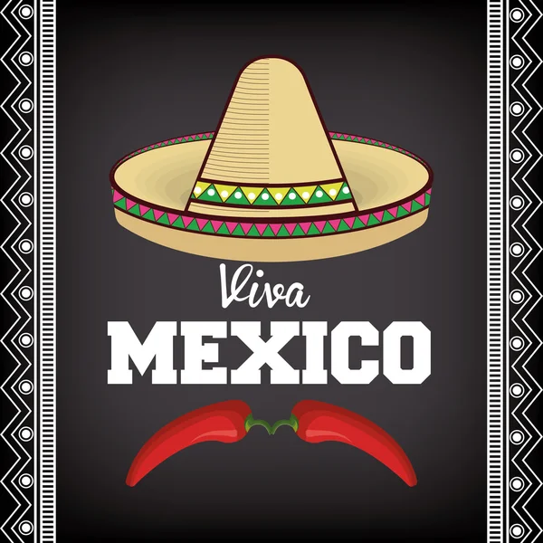 Viva Mexico Sombrero Poster Ikone — Stockvektor