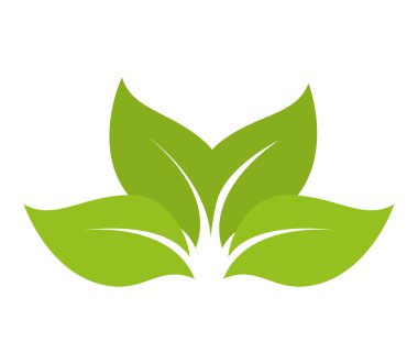 yaprakları doğal bitki sayfası