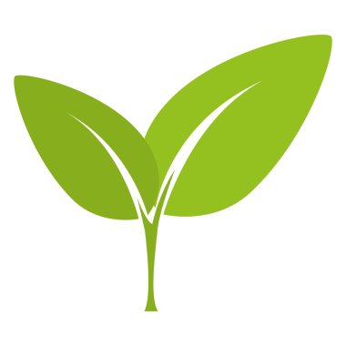 yaprakları doğal bitki sayfası