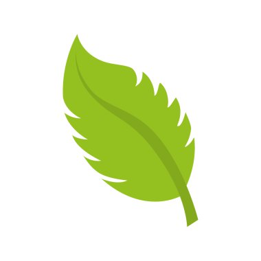 yaprak doğal bitki sayfası