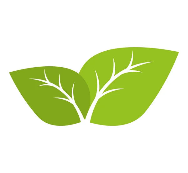 Yaprakları doğal bitki sayfası — Stok Vektör