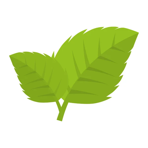 葉の天然植物のシート — ストックベクタ