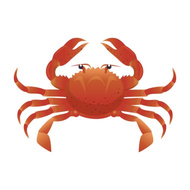 Yengeç deniz hayvan