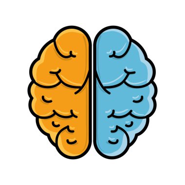 İnsan beyin organı