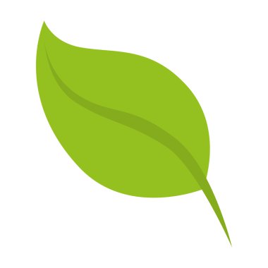 yaprak doğal bitki sayfası