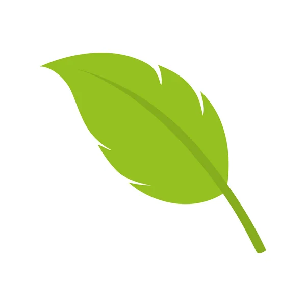 Blad natuurlijke plant blad — Stockvector