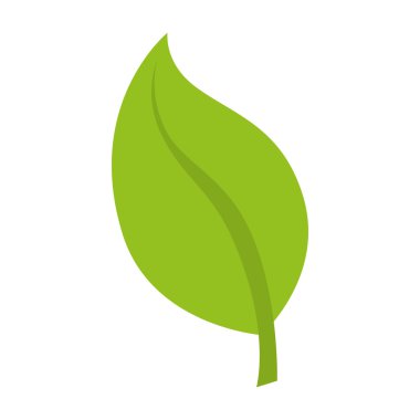 yaprak doğal bitki sayfası