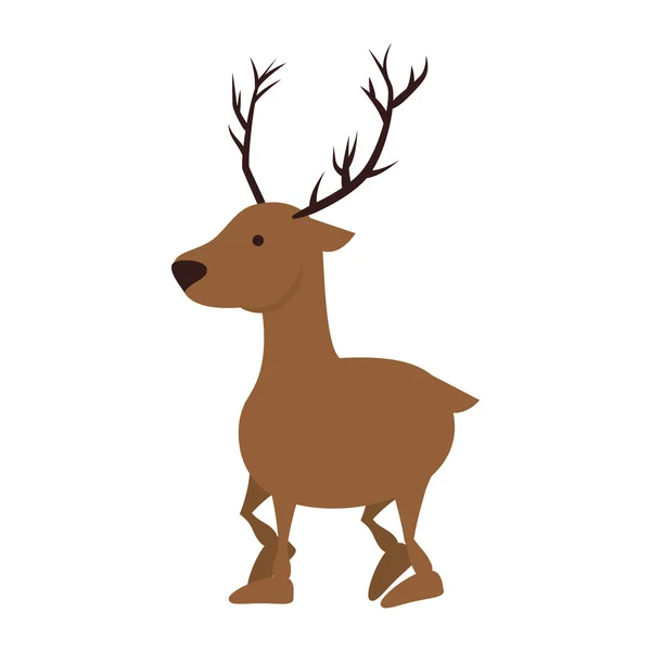 Cerfs animaux sauvages — Image vectorielle