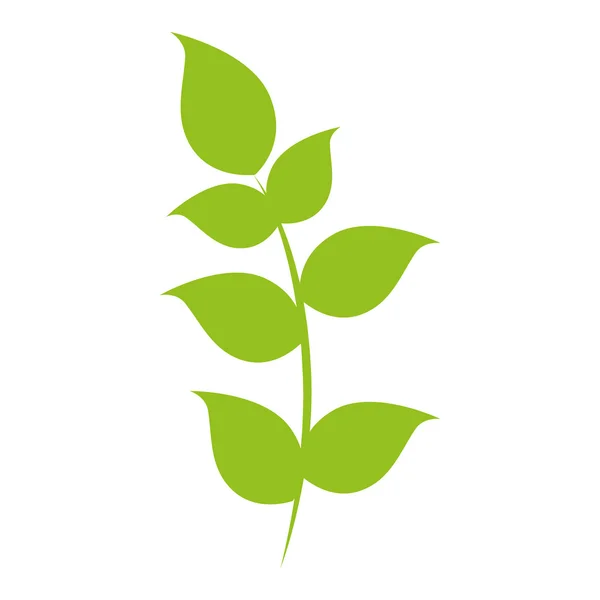 Hojas hoja vegetal natural — Vector de stock