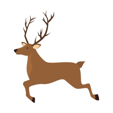 geyik yaban hayatı hayvan