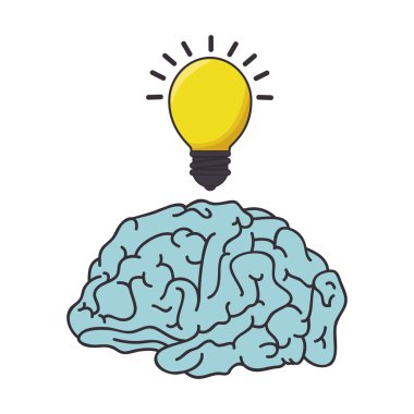 insan beyni organ fikir