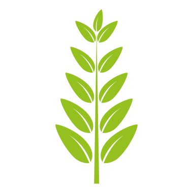 yaprakları doğal bitki sayfası